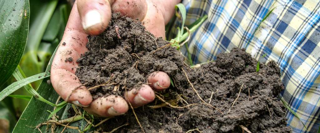 Farmer with a handful of soil