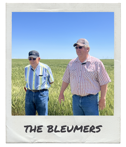 The Bleumers